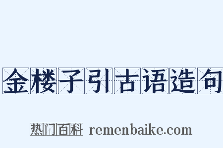 金楼子引古语造句是什么意思的图片